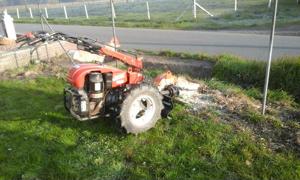 uitfrezen boomwortels